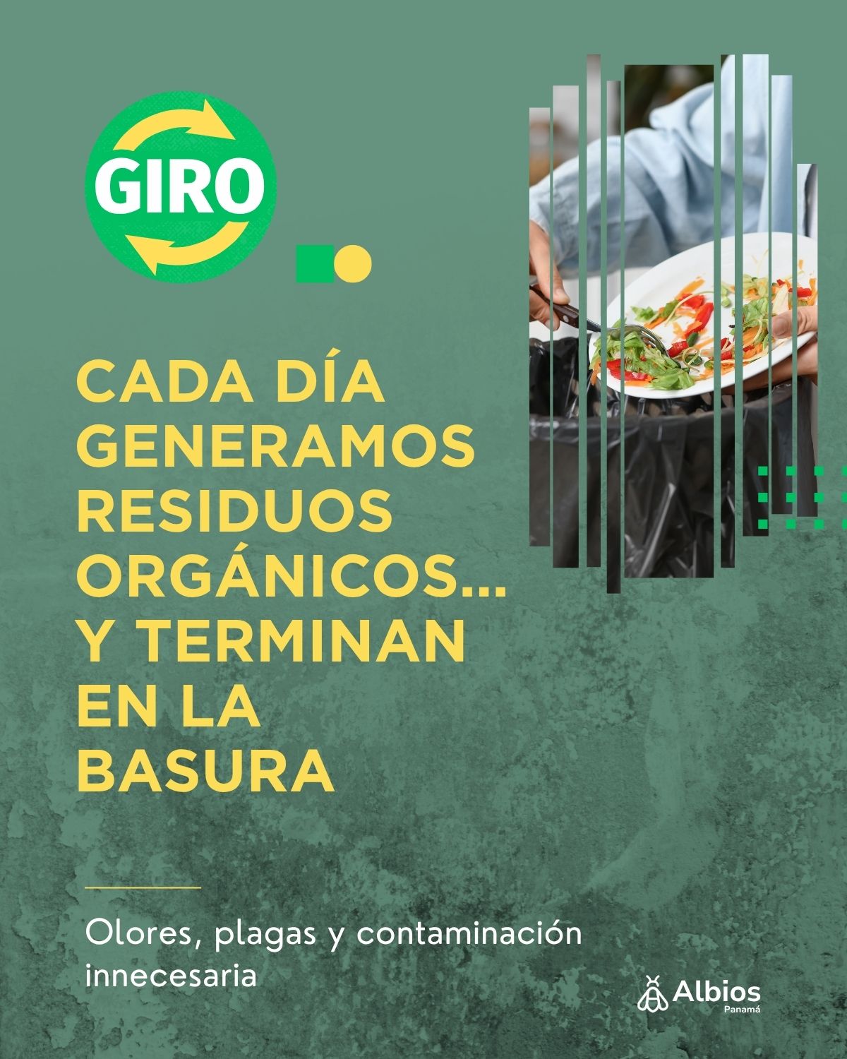 Carrusel Giro Hogar
